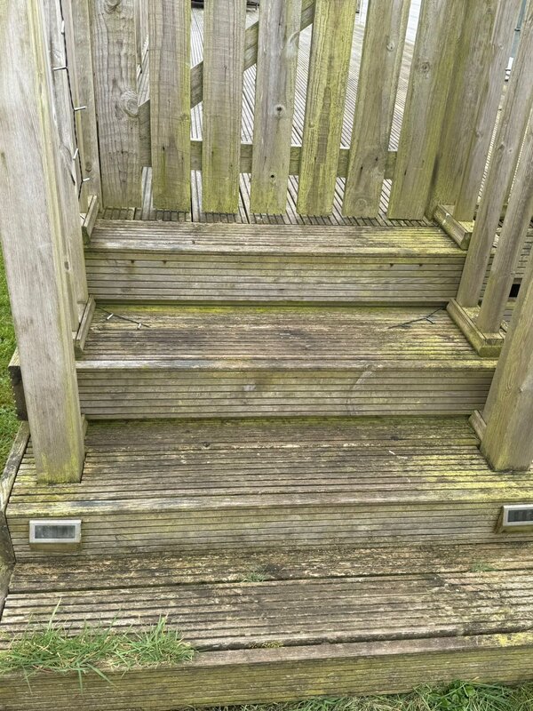 Timber decking steps green and slippery with algae before cleaning