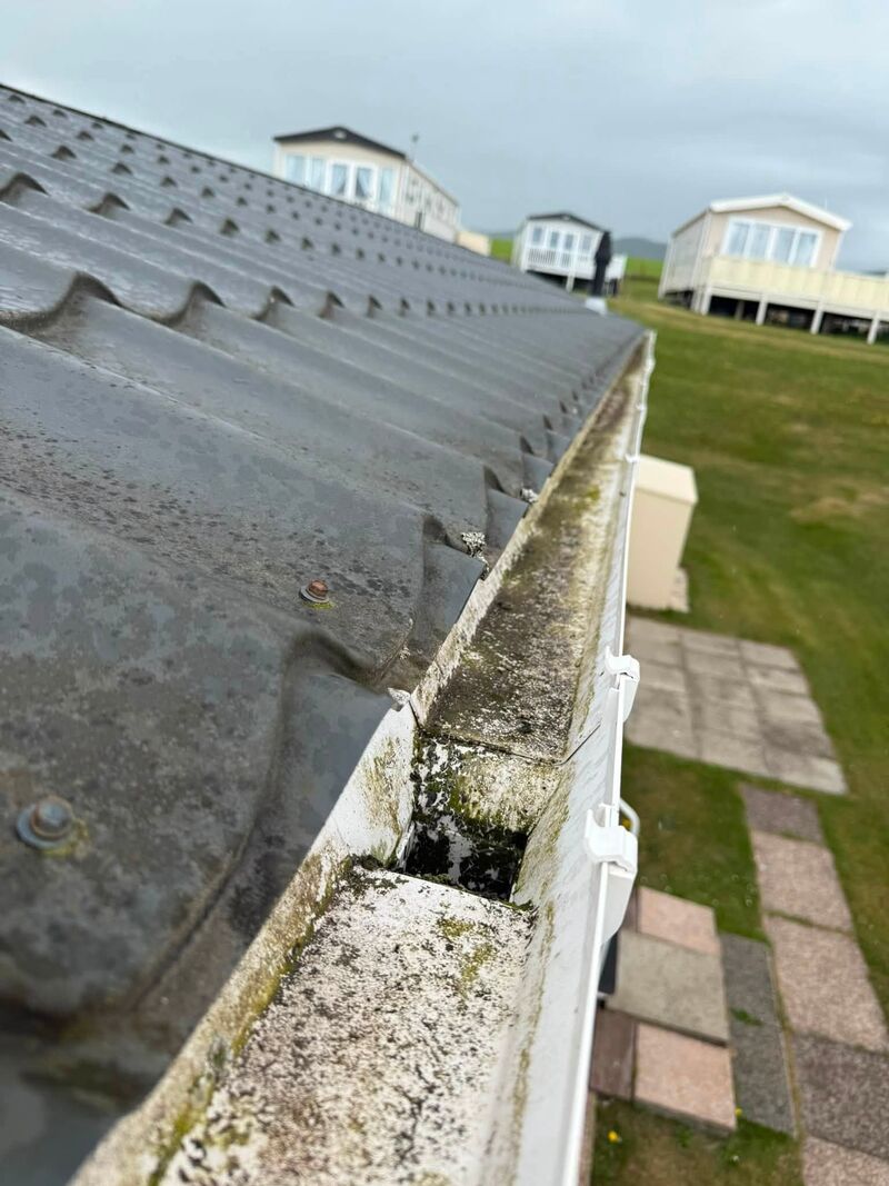 Gutter choked with moss and algae before clearing