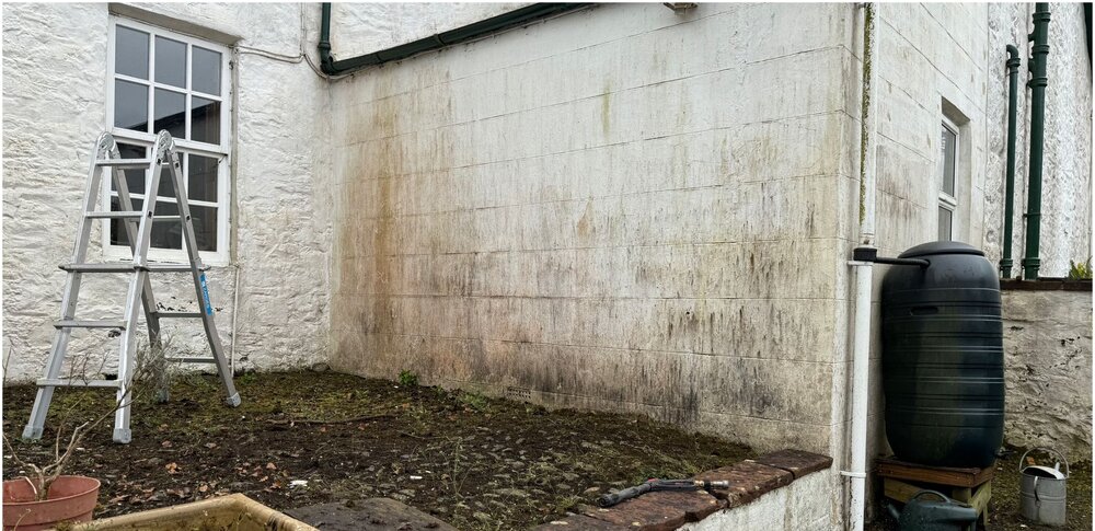 Whitewashed cottage wall darkened with mould and algae before soft washing